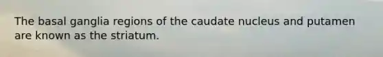 The basal ganglia regions of the caudate nucleus and putamen are known as the striatum.