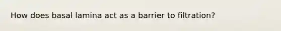 How does basal lamina act as a barrier to filtration?