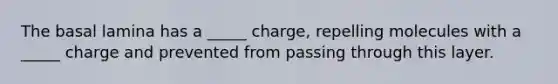 The basal lamina has a _____ charge, repelling molecules with a _____ charge and prevented from passing through this layer.