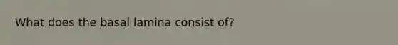 What does the basal lamina consist of?