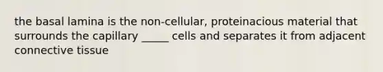 the basal lamina is the non-cellular, proteinacious material that surrounds the capillary _____ cells and separates it from adjacent connective tissue