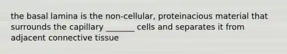 the basal lamina is the non-cellular, proteinacious material that surrounds the capillary _______ cells and separates it from adjacent connective tissue