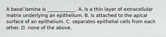 A basal lamina is ____________. A. is a thin layer of extracellular matrix underlying an epithelium. B. is attached to the apical surface of an epithelium. C. separates epithelial cells from each other. D. none of the above.