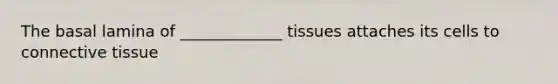 The basal lamina of _____________ tissues attaches its cells to connective tissue