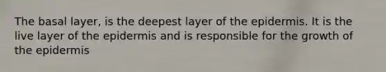 The basal layer, is the deepest layer of the epidermis. It is the live layer of the epidermis and is responsible for the growth of the epidermis