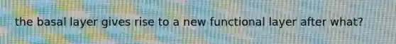 the basal layer gives rise to a new functional layer after what?