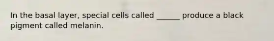 In the basal layer, special cells called ______ produce a black pigment called melanin.