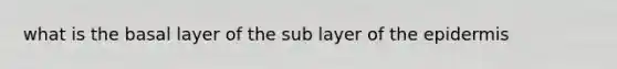 what is the basal layer of the sub layer of the epidermis