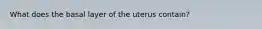 What does the basal layer of the uterus contain?