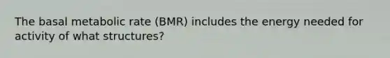 The basal metabolic rate (BMR) includes the energy needed for activity of what structures?