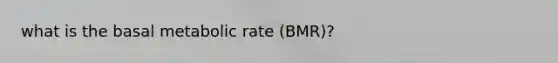 what is the basal metabolic rate (BMR)?