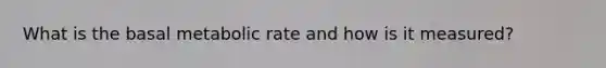 What is the basal metabolic rate and how is it measured?