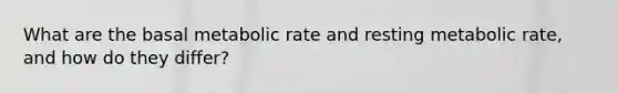What are the basal metabolic rate and resting metabolic rate, and how do they differ?