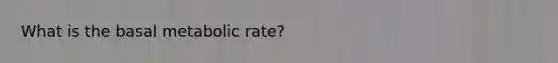 What is the basal metabolic rate?