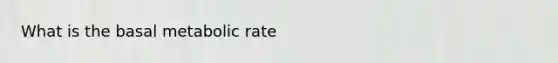What is the basal metabolic rate