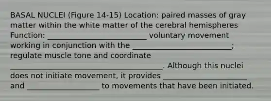BASAL NUCLEI (Figure 14-15) Location: paired masses of gray matter within the white matter of the cerebral hemispheres Function: __________________________ voluntary movement working in conjunction with the __________________________; regulate muscle tone and coordinate ________________________________________. Although this nuclei does not initiate movement, it provides ______________________ and ___________________ to movements that have been initiated.
