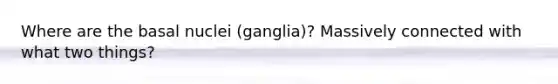 Where are the basal nuclei (ganglia)? Massively connected with what two things?