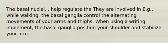 The basal nuclei... help regulate the They are involved in E.g., while walking, the basal ganglia control the alternating movements of your arms and thighs. When using a writing implement, the basal ganglia position your shoulder and stabilize your arm.