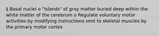 § Basal nuclei o "Islands" of gray matter buried deep within the white matter of the cerebrum o Regulate voluntary motor activities by modifying instructions sent to skeletal muscles by the primary motor cortex