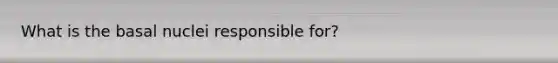 What is the basal nuclei responsible for?