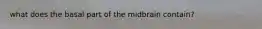 what does the basal part of the midbrain contain?