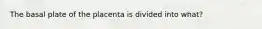 The basal plate of the placenta is divided into what?