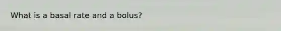 What is a basal rate and a bolus?