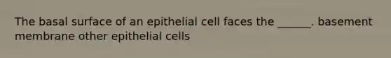 The basal surface of an epithelial cell faces the ______. basement membrane other epithelial cells