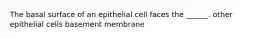 The basal surface of an epithelial cell faces the ______. other epithelial cells basement membrane