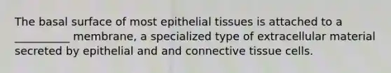 The basal surface of most <a href='https://www.questionai.com/knowledge/k7dms5lrVY-epithelial-tissue' class='anchor-knowledge'>epithelial tissue</a>s is attached to a __________ membrane, a specialized type of extracellular material secreted by epithelial and and <a href='https://www.questionai.com/knowledge/kYDr0DHyc8-connective-tissue' class='anchor-knowledge'>connective tissue</a> cells.