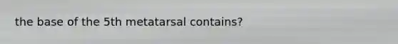 the base of the 5th metatarsal contains?