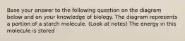 Base your answer to the following question on the diagram below and on your knowledge of biology. The diagram represents a portion of a starch molecule. (Look at notes) The energy in this molecule is stored