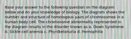 Base your answer to the following question on the diagram below and on your knowledge of biology. The diagram shows the number and structure of homologous pairs of chromosomes in a human body cell. The chromosome abnormality represented in the diagram results in the disorder known as a. Down Syndrome b. Sickle-cell anemia c. Phynlketonuria d. Hemophilia