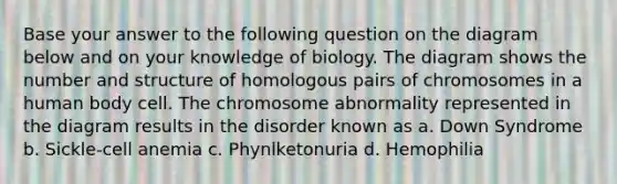 Base your answer to the following question on the diagram below and on your knowledge of biology. The diagram shows the number and structure of homologous pairs of chromosomes in a human body cell. The chromosome abnormality represented in the diagram results in the disorder known as a. Down Syndrome b. Sickle-cell anemia c. Phynlketonuria d. Hemophilia