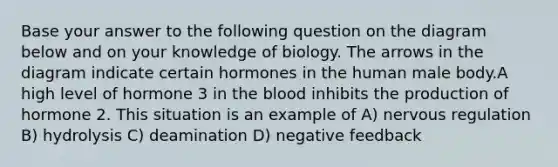 Base your answer to the following question on the diagram below and on your knowledge of biology. The arrows in the diagram indicate certain hormones in the human male body.A high level of hormone 3 in <a href='https://www.questionai.com/knowledge/k7oXMfj7lk-the-blood' class='anchor-knowledge'>the blood</a> inhibits the production of hormone 2. This situation is an example of A) nervous regulation B) hydrolysis C) deamination D) negative feedback