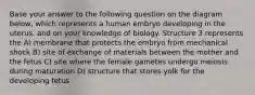 Base your answer to the following question on the diagram below, which represents a human embryo developing in the uterus, and on your knowledge of biology. Structure 3 represents the A) membrane that protects the embryo from mechanical shock B) site of exchange of materials between the mother and the fetus C) site where the female gametes undergo meiosis during maturation D) structure that stores yolk for the developing fetus