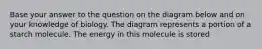 Base your answer to the question on the diagram below and on your knowledge of biology. The diagram represents a portion of a starch molecule. The energy in this molecule is stored