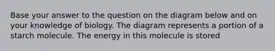 Base your answer to the question on the diagram below and on your knowledge of biology. The diagram represents a portion of a starch molecule. The energy in this molecule is stored