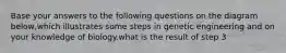 Base your answers to the following questions on the diagram below,which illustrates some steps in genetic engineering and on your knowledge of biology.what is the result of step 3