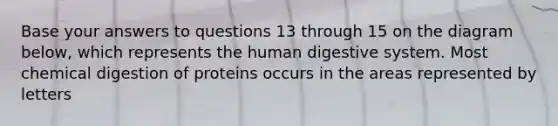 Base your answers to questions 13 through 15 on the diagram below, which represents the human digestive system. Most chemical digestion of proteins occurs in the areas represented by letters