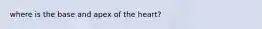 where is the base and apex of the heart?