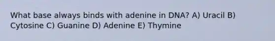 What base always binds with adenine in DNA? A) Uracil B) Cytosine C) Guanine D) Adenine E) Thymine