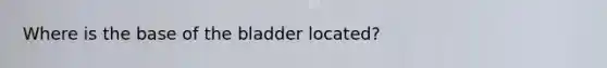 Where is the base of the bladder located?