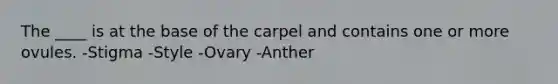 The ____ is at the base of the carpel and contains one or more ovules. -Stigma -Style -Ovary -Anther