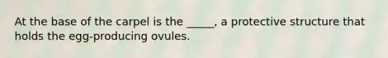At the base of the carpel is the _____, a protective structure that holds the egg-producing ovules.