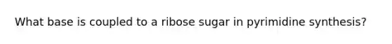 What base is coupled to a ribose sugar in pyrimidine synthesis?