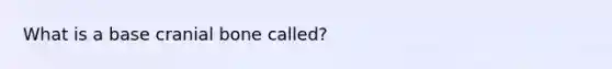 What is a base cranial bone called?