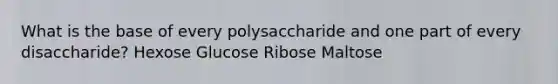 What is the base of every polysaccharide and one part of every disaccharide? Hexose Glucose Ribose Maltose