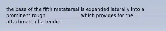 the base of the fifth metatarsal is expanded laterally into a prominent rough ______________ which provides for the attachment of a tendon