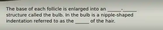 The base of each follicle is enlarged into an ______-______ structure called the bulb. In the bulb is a nipple-shaped indentation referred to as the ______ of the hair.